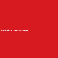 Lebhafte Samt-Schuhe