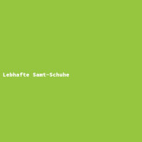 Lebhafte Samt-Schuhe